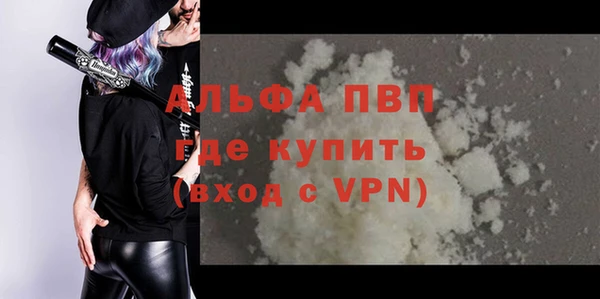 эйфоретик Инта